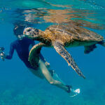 Snorkelling Spots