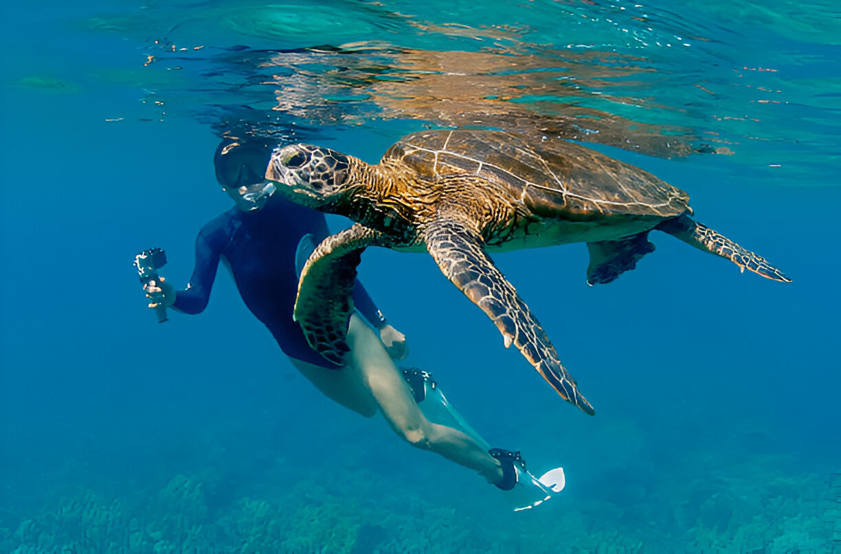 Snorkelling Spots